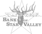 BOSV logo